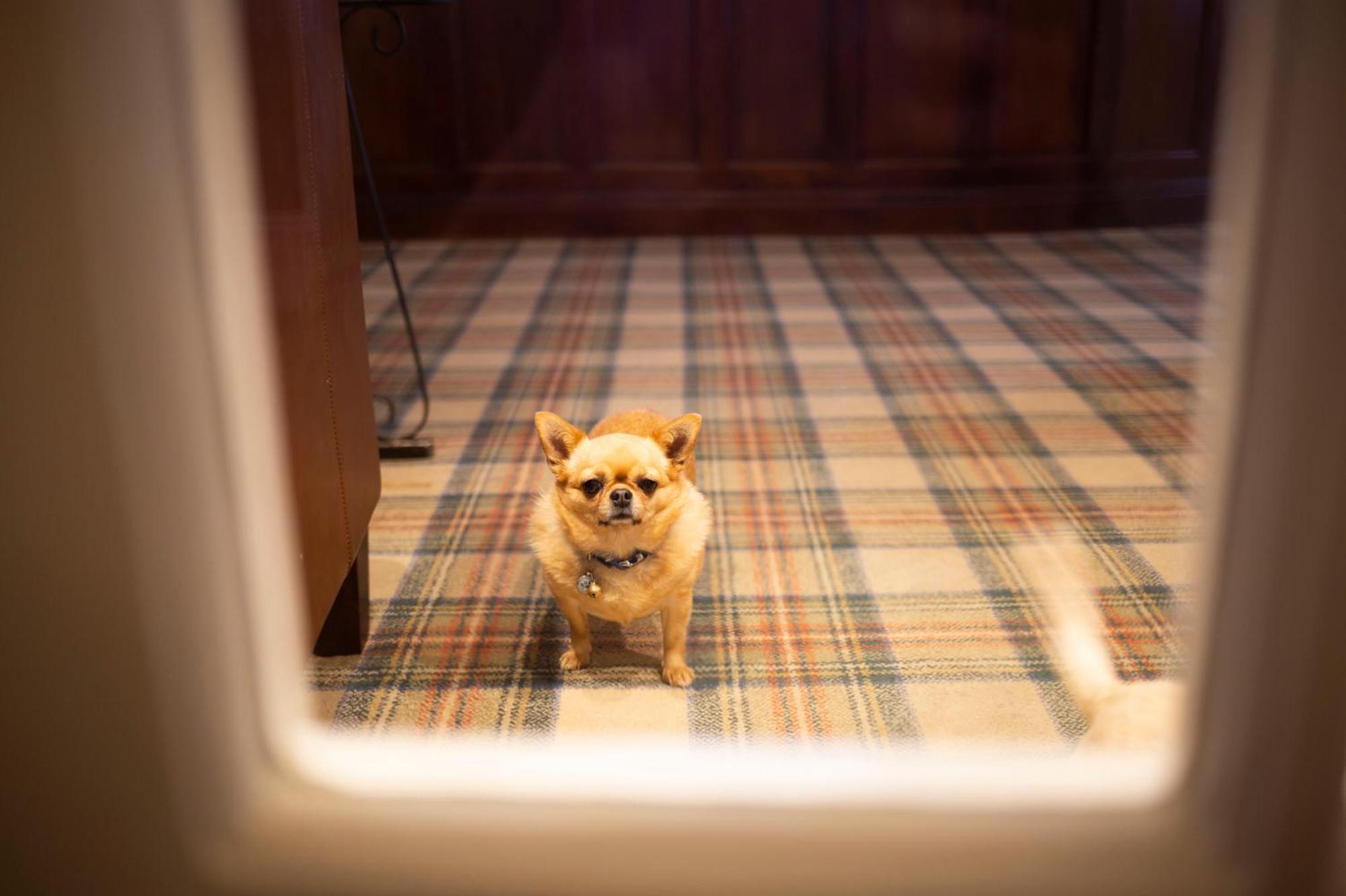 ホテル ザ ペンラルト アベルポルス エクステリア 写真